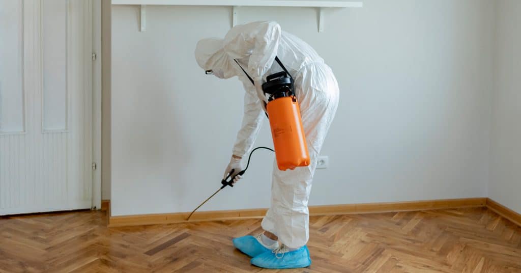 Mold Remediation | Atlanta, GA | Penco Restoration